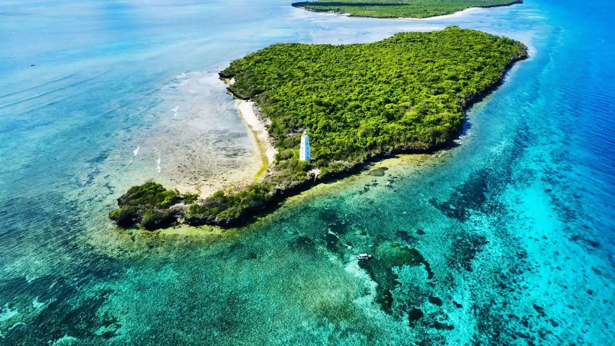 Snorkeler over uncrowded coral gardens off Tumbatu Island while snorkeling in Zanzibar near Nungwi, Tanzania